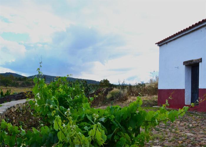 Casa Rural El Abuelo Alonso La Codosera Luaran gambar